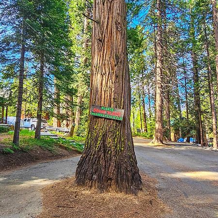 Water'S Edge Retreat Vila Shaver Lake Exterior foto
