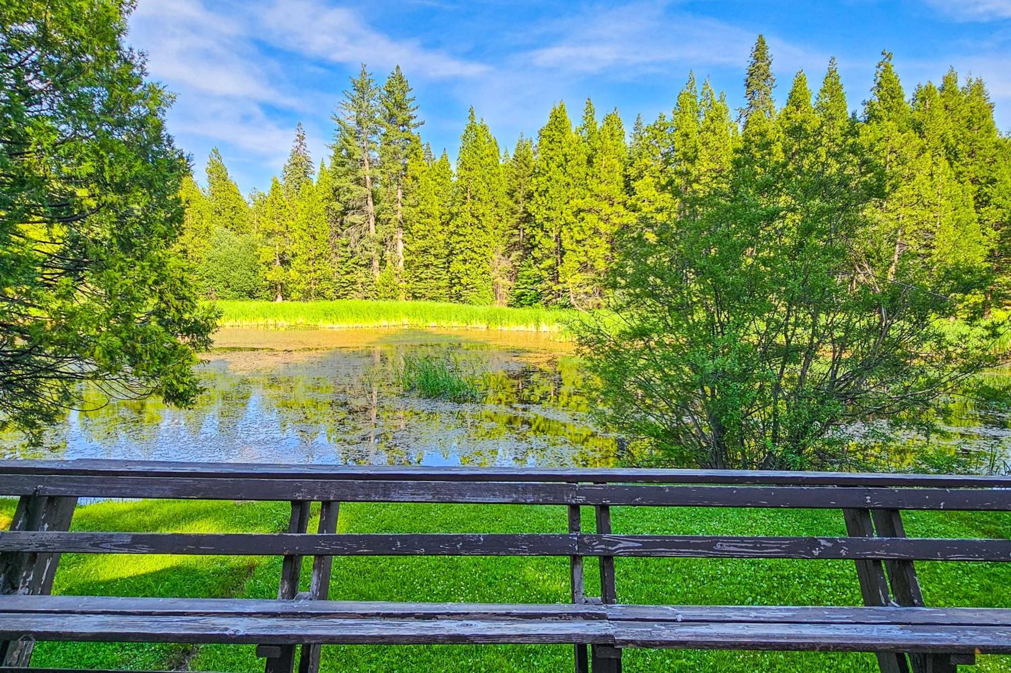 Water'S Edge Retreat Vila Shaver Lake Exterior foto