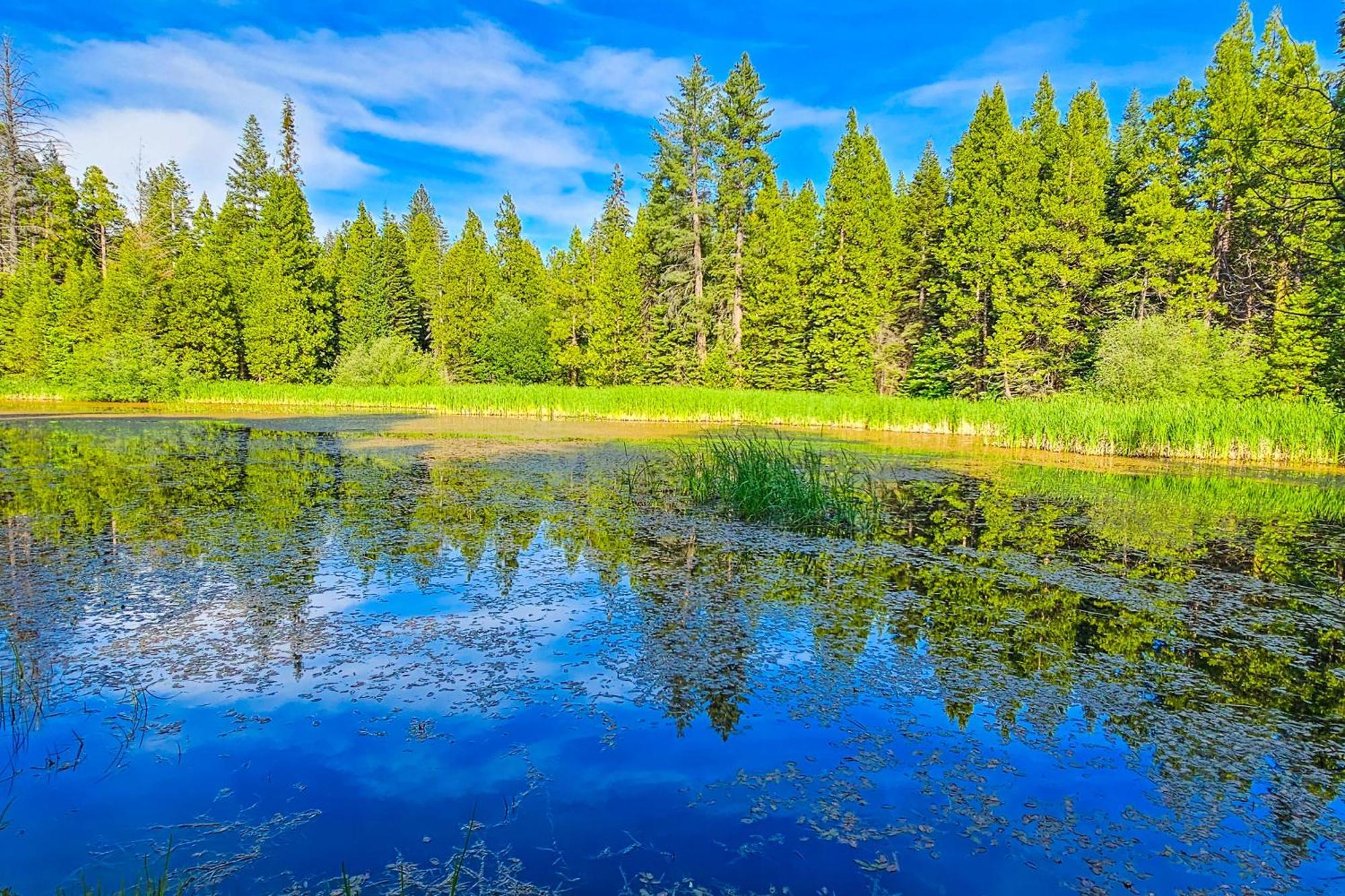 Water'S Edge Retreat Vila Shaver Lake Exterior foto